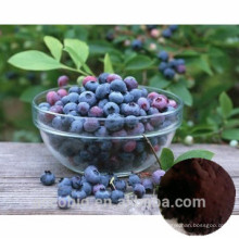 High Quality 100% Natural Bilberry Extract 4:1 Anthocyanidin 25%